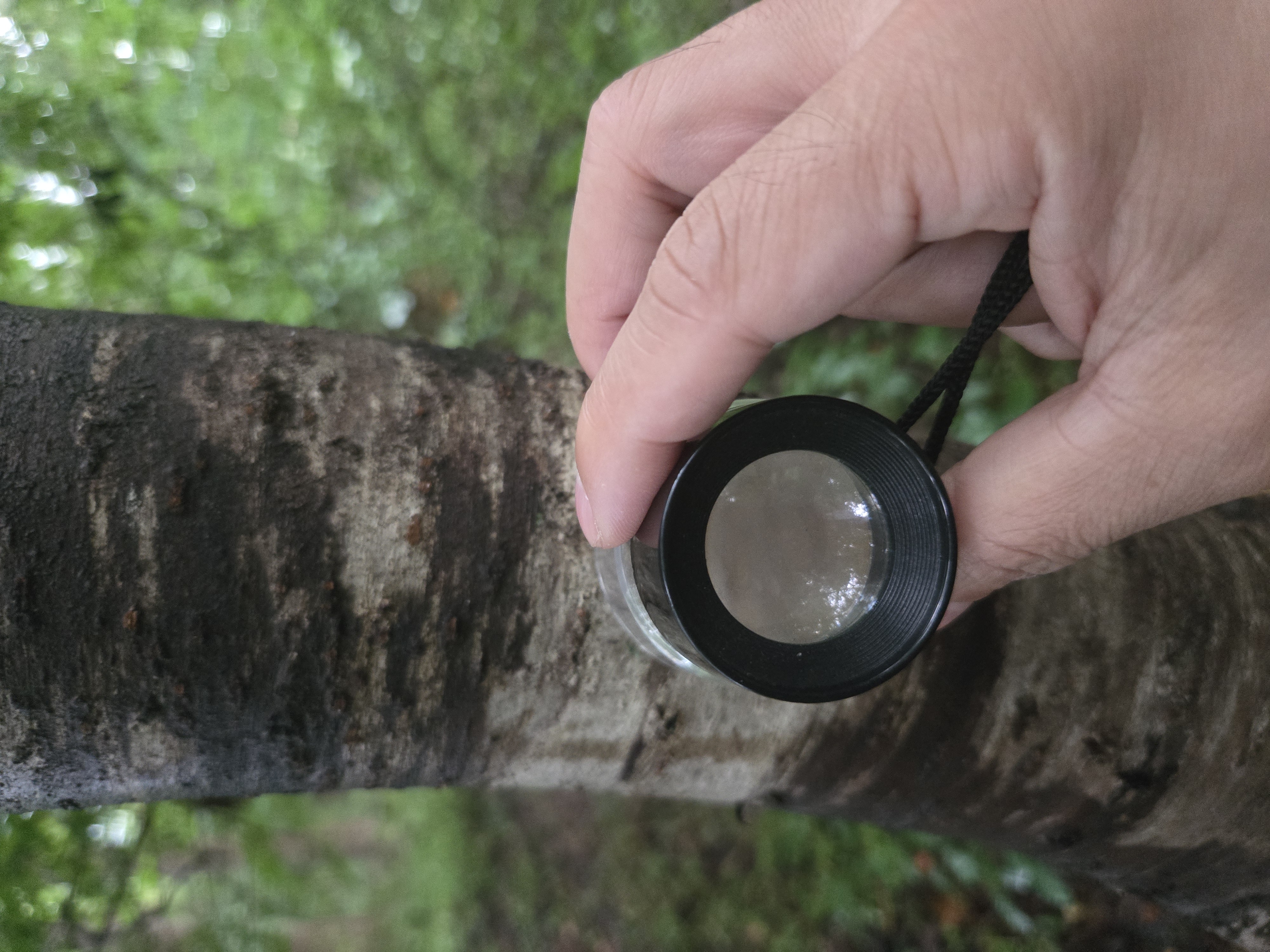 Week 9 and 10 field survey activity