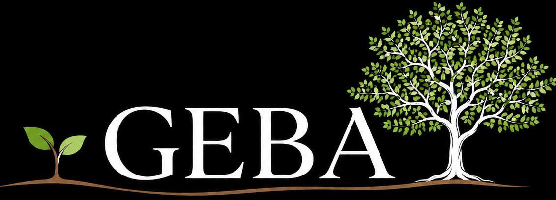 GEBA Consulting LLC